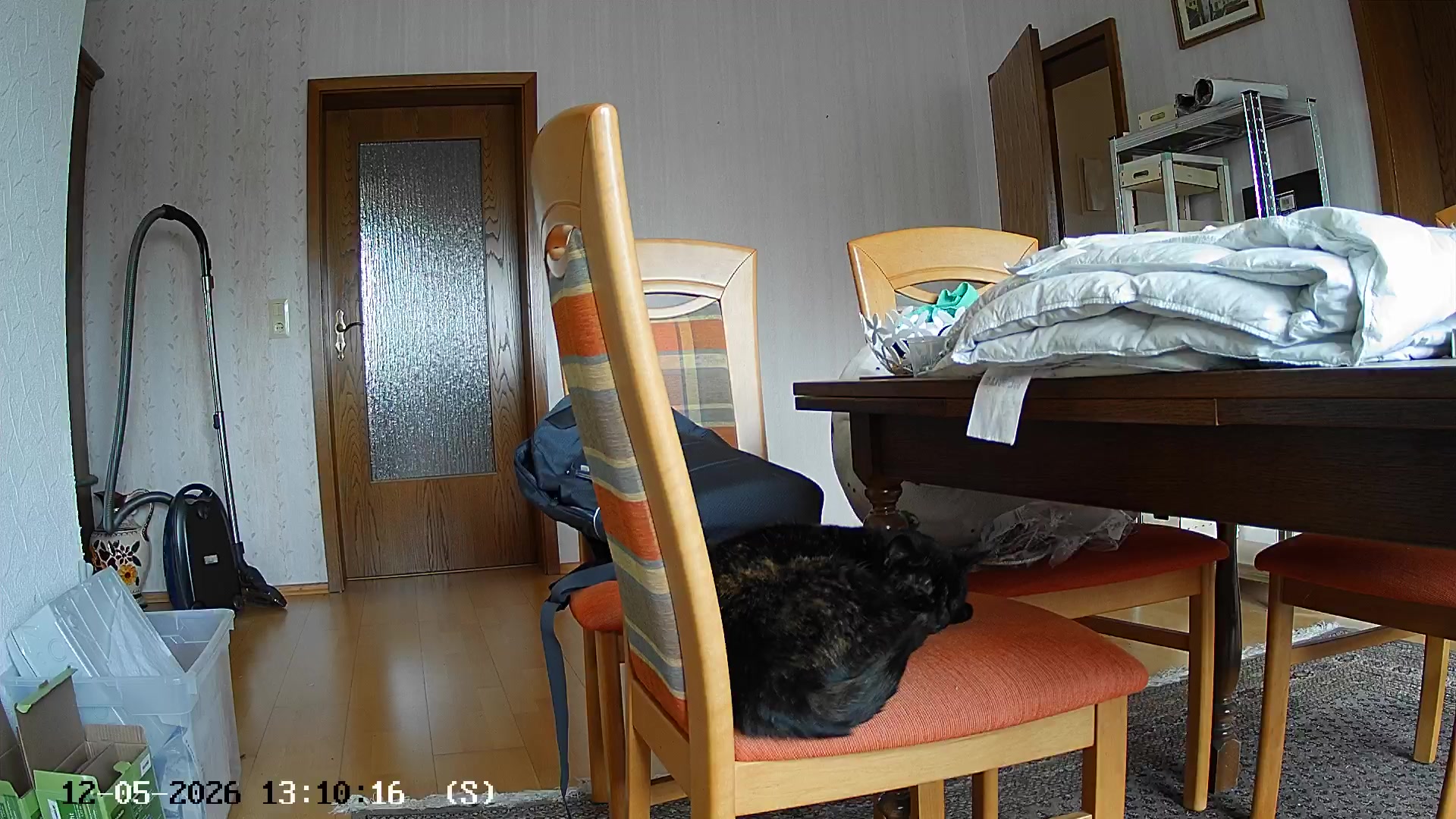 Live Webcam